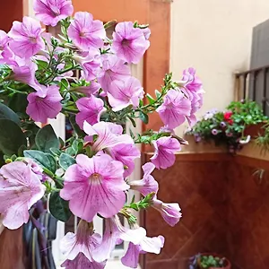 Apartamento La Reina, Córdoba